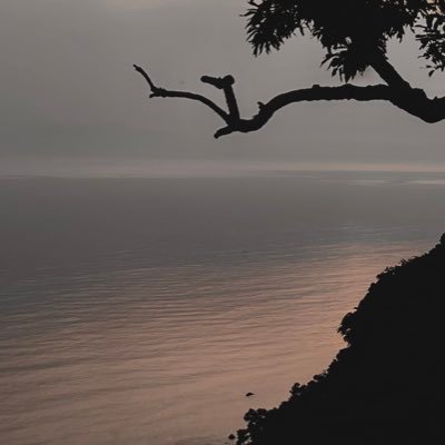 NlxwlNZ9's profile picture. 