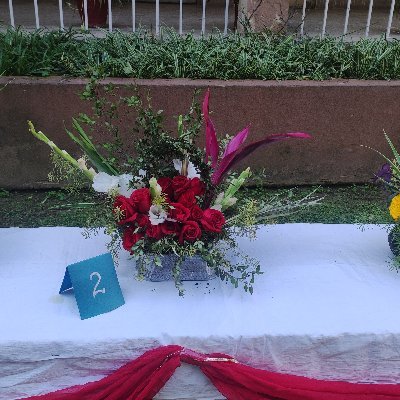 TehminaMehboob's profile picture. 