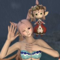 のぶ (@t3e5bnhnlxilqfn) 's Twitter Profile