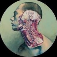 Waffle (@letshatee) 's Twitter Profile
