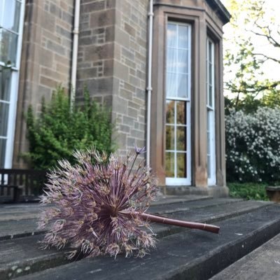 mohany7833's profile picture. أحبك مهما كان الرد