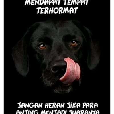 Deled22's profile picture. Harapan tak pasti