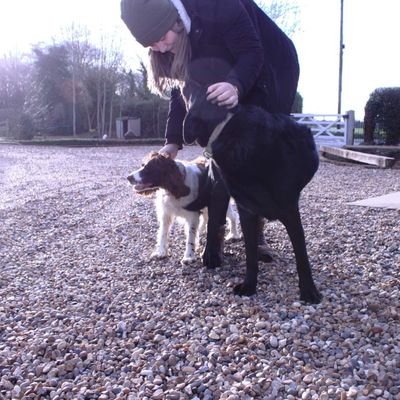 AngelikaBerczik's profile picture. Edit assistant