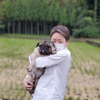 のん たけたけ(@Pug_times) 's Twitter Profile Photo