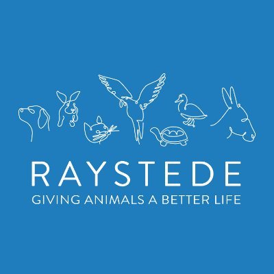 Animal welfare charity & rescue centre based in Sussex. 
Rehoming & Sanctuary.
01825 840 252 email. info@raystede.org