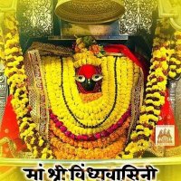 Vijay Pandey Amethi (@vijaypa11372195) 's Twitter Profile