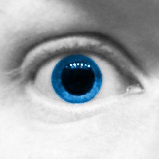 vegiemite's profile picture. Living this life season in the flatlands of SC.