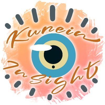KureinInSight Profile Picture