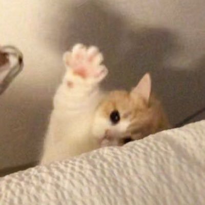 rrchtchmph11's profile picture. 