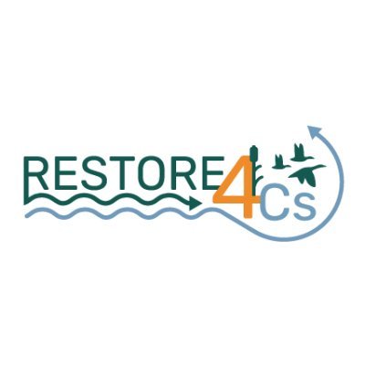 RESTORE4Cs