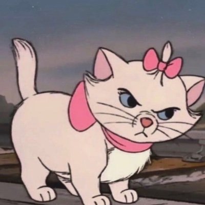 abbycaroliine's profile picture. stubborn