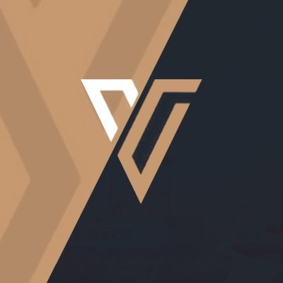 Team Valor Profile