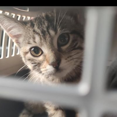 SharySg61's profile picture.