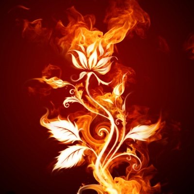 FireplaceTalk_ Profile Picture