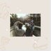 曾千俰 (@cngqinhu) Twitter profile photo 曾千俰 (@cngqinhu) Twitter profile photo