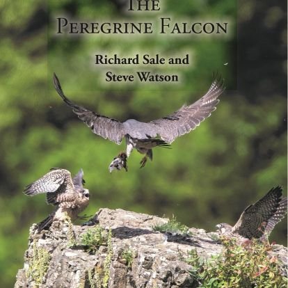 Co-writer of 'The Peregrine Falcon' with Richard Sale. Our 528-page comprehensive monograph with 385 colour images & figs brings science bang up-to-date.