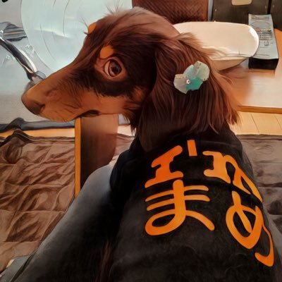 静岡市に猫と暮らしています。仕事は在宅で動画編集。現在生成AIを学んでいます。自分の思い描くAIアートやAIコンシェルジュを創るべく奮闘中