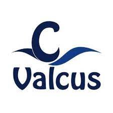 Valcus is one of the best accounting firm in the India that provides various accounting and financial services to its valuable customers. Call: 9999761122