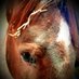 Georgie O'Sullivan (@georginaosulli2) Twitter profile photo Georgie O'Sullivan (@georginaosulli2) Twitter profile photo