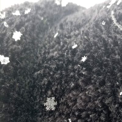 NLZ_72's profile picture. 