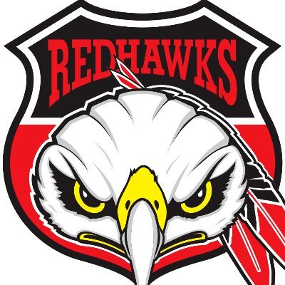 NHL 6v6 esport team of @Malmo_Redhawks 🦅🎮