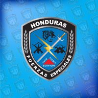 Dirección Nacional de Fuerzas Especiales(@DNFEHN) 's Twitter Profile Photo