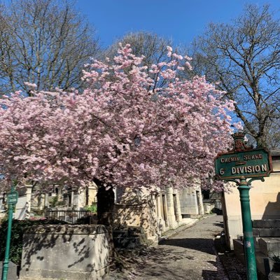 Promeneur taphophile à mes heures perdues… en attendant la dernière. Toutes les 📸 sont de moi, sauf mention contraire.