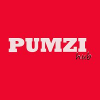 PumziHub.com(@PumziAfrica) 's Twitter Profile Photo