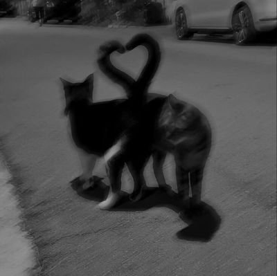 z_zosia2's profile picture. 