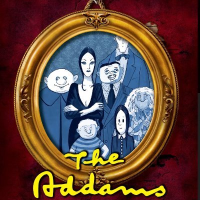 FSSD FMS Drama Profile