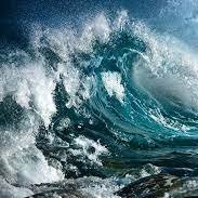 cnj8000's profile picture. 