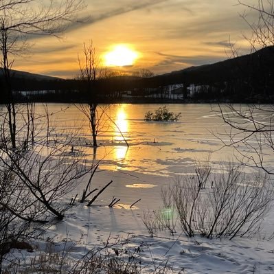 jrnewty's profile picture. 