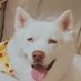 Carolyn Young (@carolyn70180171) Twitter profile photo Carolyn Young (@carolyn70180171) Twitter profile photo