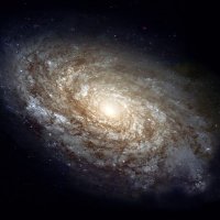 Nerdion Galaxy (@blindalia) 's Twitter Profile