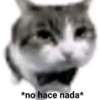 Sr taco :v (@244af0abf5d4489) 's Twitter Profile