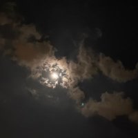 ثُريا . (@thix_9) 's Twitter Profile