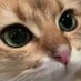 —— (@cactusblakb) Twitter profile photo —— (@cactusblakb) Twitter profile photo