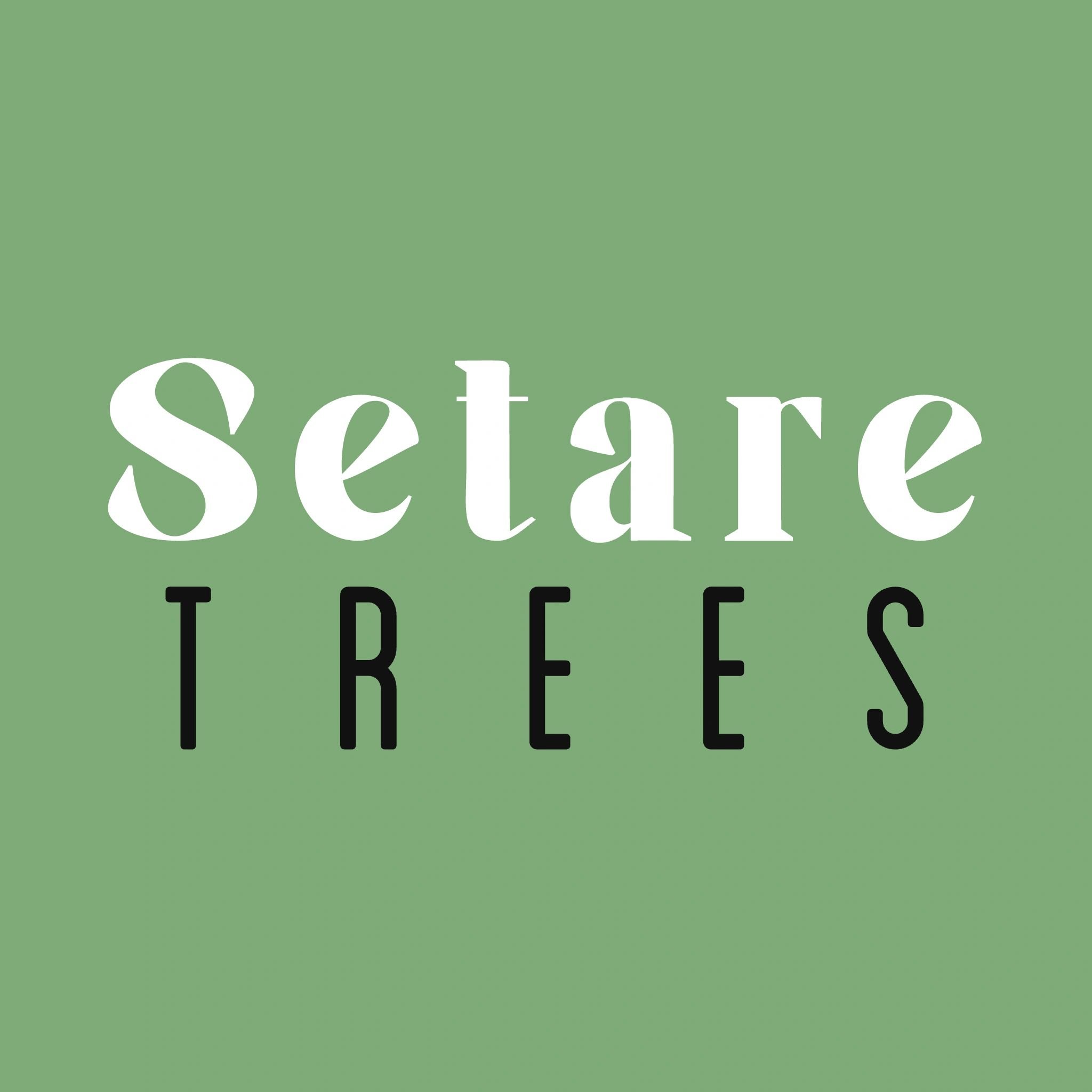 Setare Trees Inc