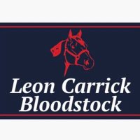 Leon Carrick Bloodstock(@LeonCarrick) 's Twitter Profileg