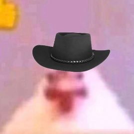 SplatpacGamer's profile picture. 