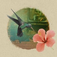 knapsack (@thebandknapsack) 's Twitter Profile