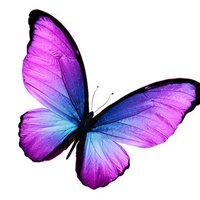 Mortici Davis (@morticidavis) 's Twitter Profile