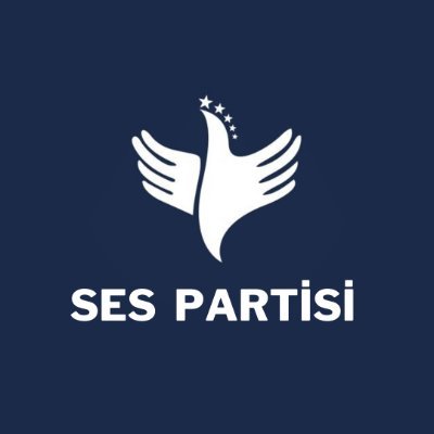 Türkiye'nin Sesi Altınçağ Partisi İstanbul İl Başkanlığı Resmi X Hesabı