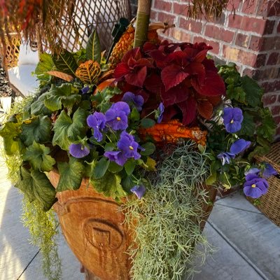 flwrpwr78's profile picture. Lover of everything Football, RF and reality TV