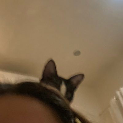 tiredrenee2000's profile picture. 