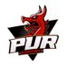 PuR eSport (@pur_f1_esport) Twitter profile photo PuR eSport (@pur_f1_esport) Twitter profile photo