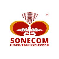 SONECOM(@SONECOM_AC) 's Twitter Profile Photo