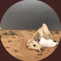 vx. (@vx506v) 's Twitter Profile