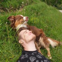 Kilian Schulte 💙 (@schultek_dev) 's Twitter Profile Photo