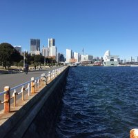 横浜大根商会 (@yokohamadaikon) 's Twitter Profile